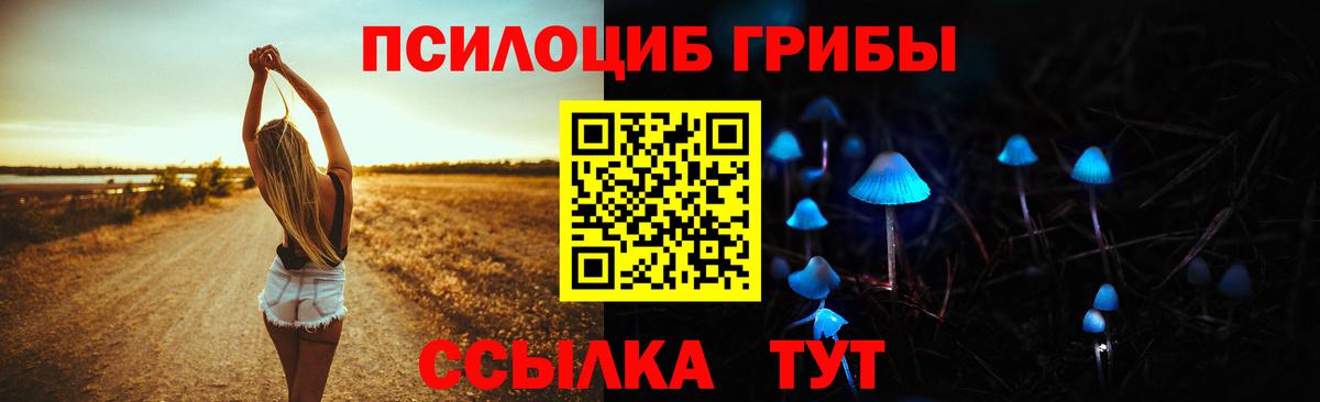 Галлюциногенные грибы MAGIC MUSHROOMS  Псилоцибиновые грибы Cubensis  купить  сайты  Вход с VPN  Новоалександровск 